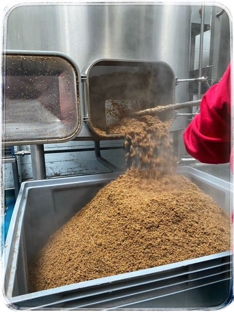 Image of spent grain being cleared out after brewing with it