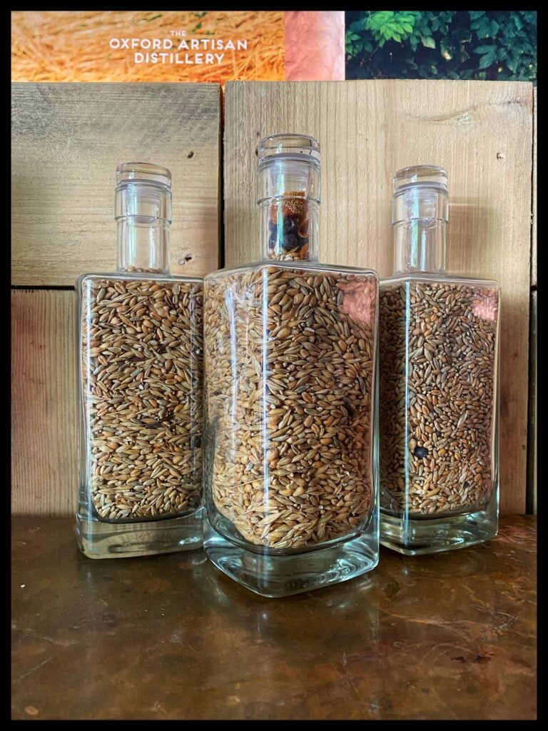 Image of three glass bottles filled with grains