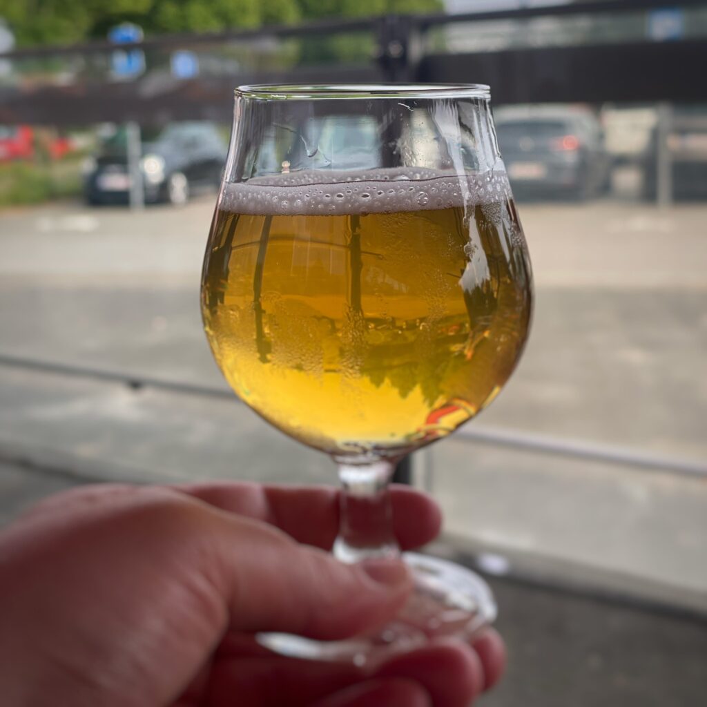 Image of a small glass of craft beer