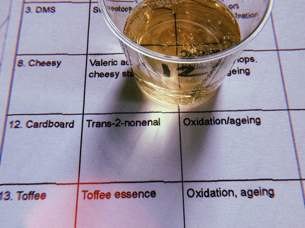 Image of a tasting cup on a sheet op paper listing beer faults