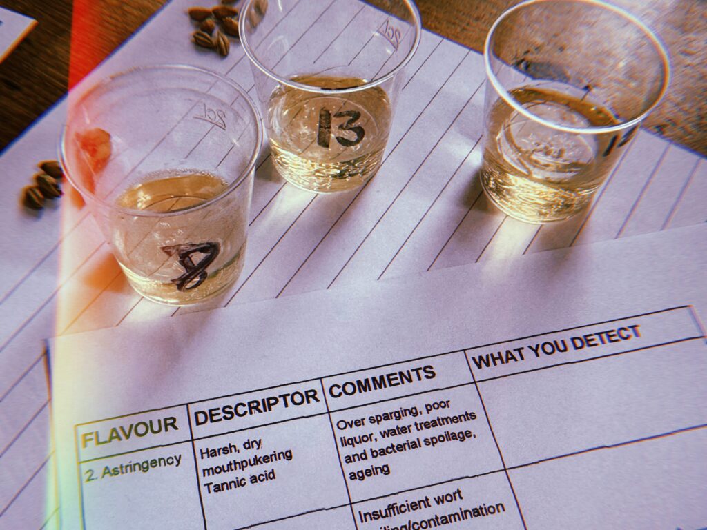 Image fo three sample cups and a piece of paper explaining astringency in beer