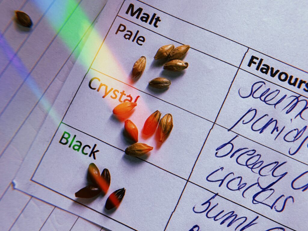 Image of malt samples on a piece of paper