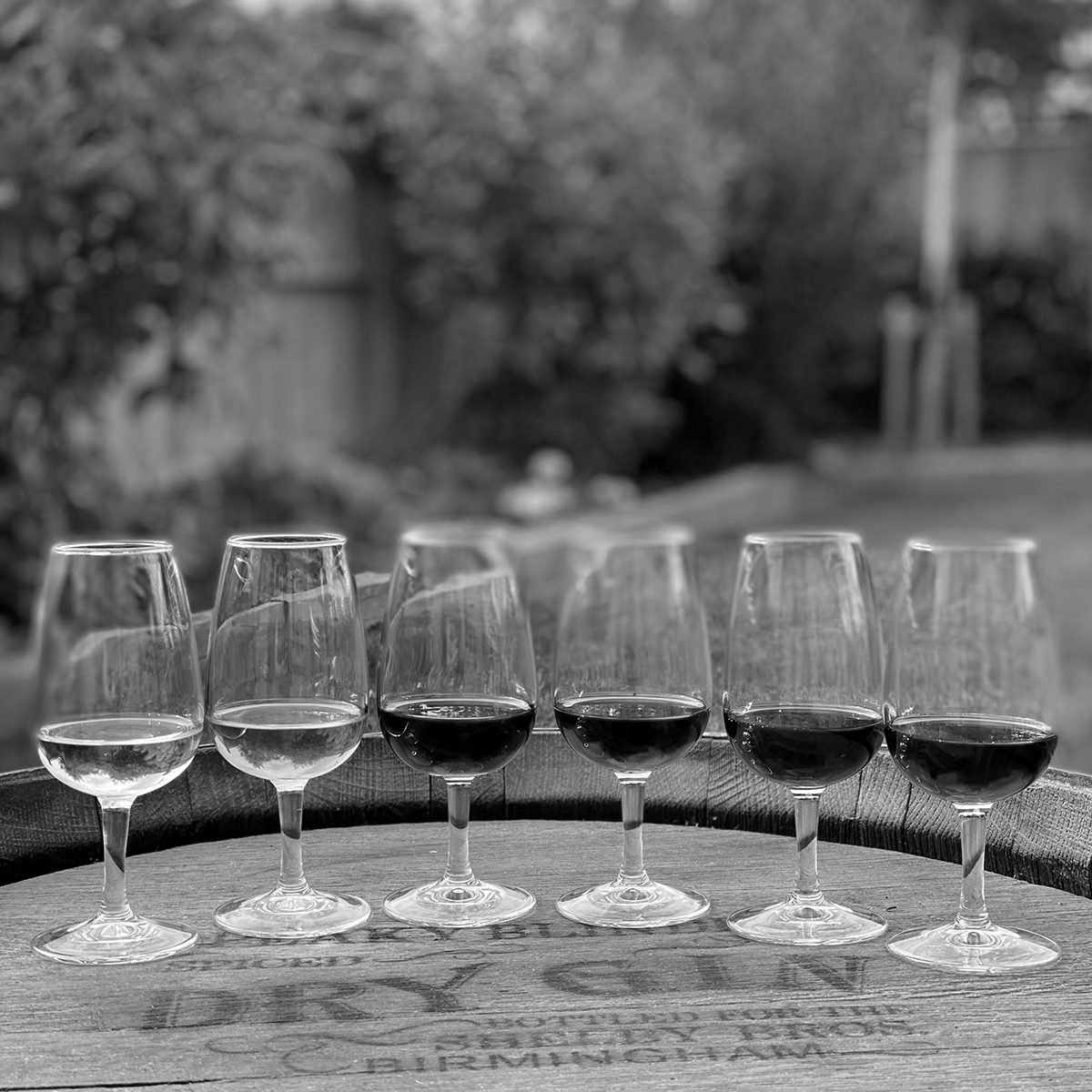 Image of six tasting glasses